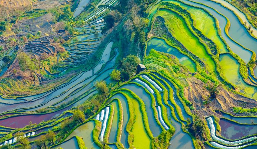走进中原区TVC拍摄：解锁本地化场景与创意镜头的完美融合